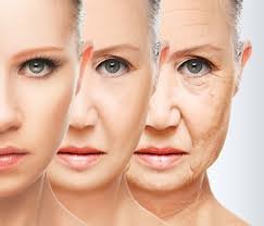 The Growing Epidemic of Premature Skin Aging and Damage in the Modern World